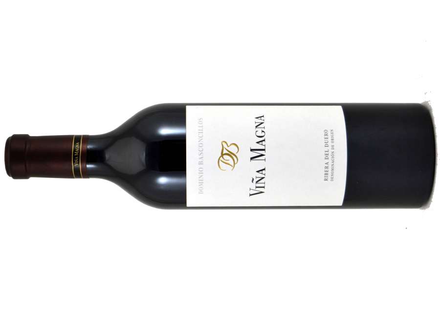 Viña Magna 14 Meses