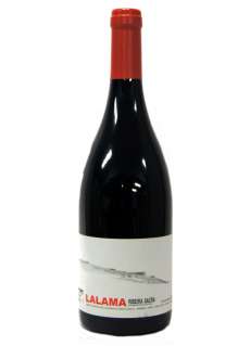 Wino Lalama