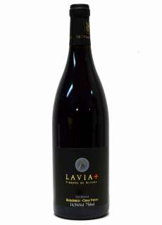 Wino Lavia +